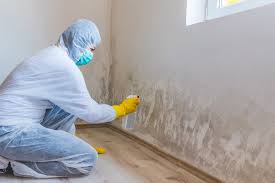 Mold Remediation for Rental Properties in Pahokee, FL