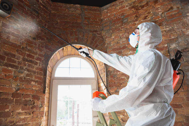 Best Mold Remediation for Rental Properties  in Pahokee, FL