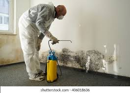 Why You Should Choose Our Mold Remediation Services in Pahokee, FL